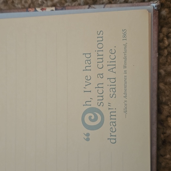 Alice in Wonderland notebook - Picture 8 of 14